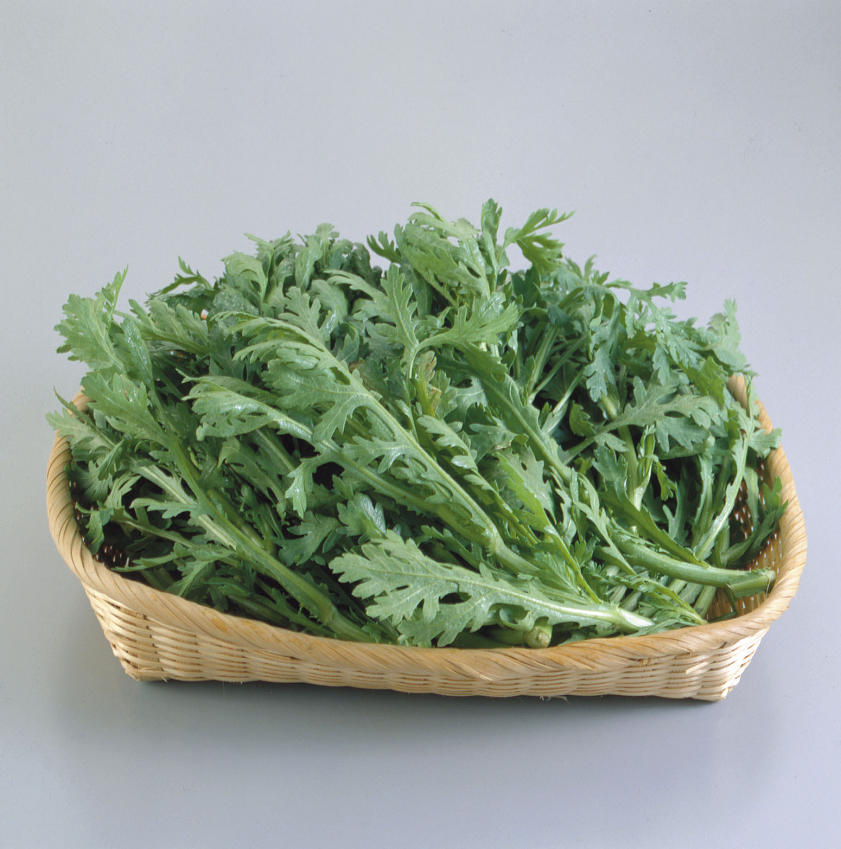 お野菜の豆知識　春菊
